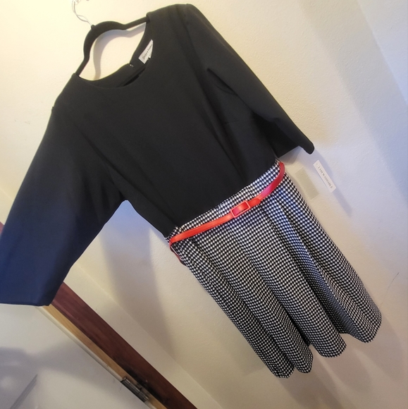 Shelby & Palmer Dresses & Skirts - New With Tags Shelby & Palmer pin up style dress